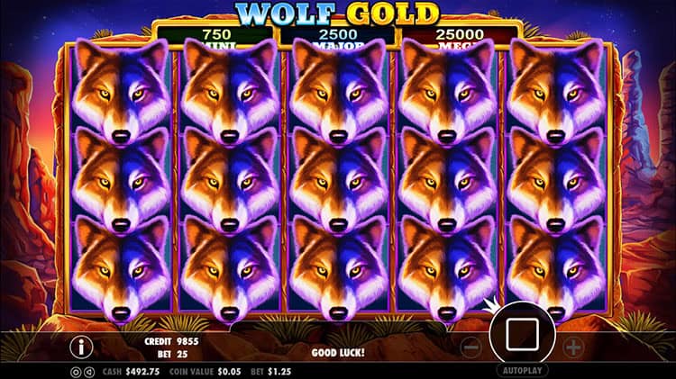 Wolf Gold Petualangan Menarik Dan Seru di Alam Liar