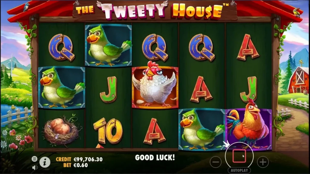 Rumah Burung Ceria Penuh Warna Menarik di The Tweety House