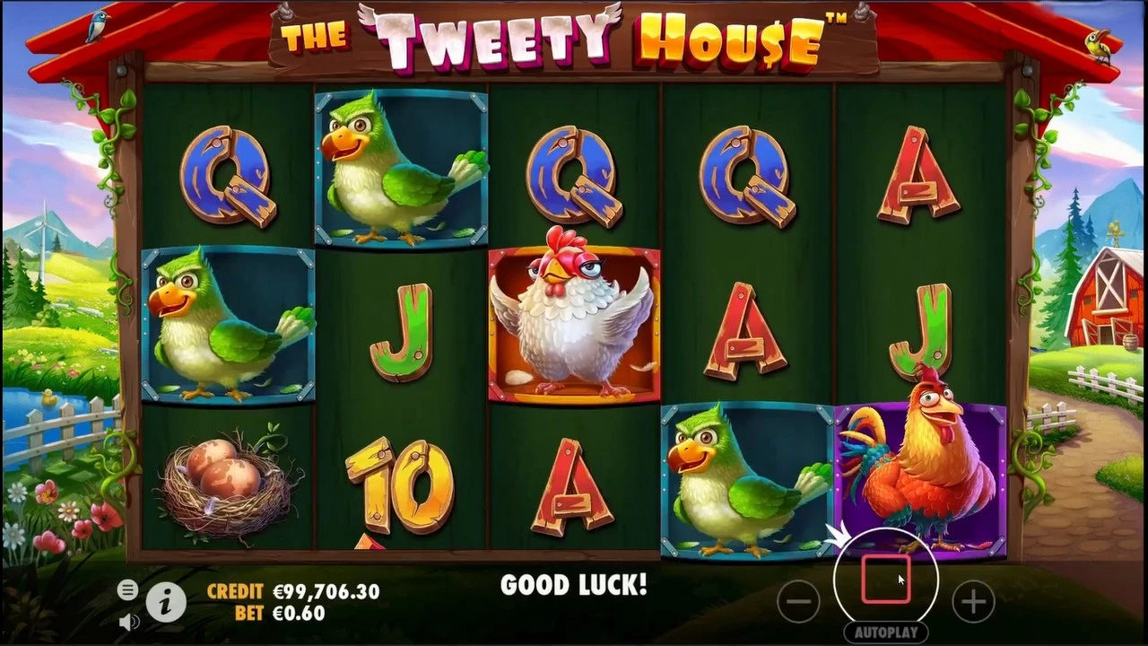 Rumah Burung Ceria Penuh Warna Menarik di The Tweety House