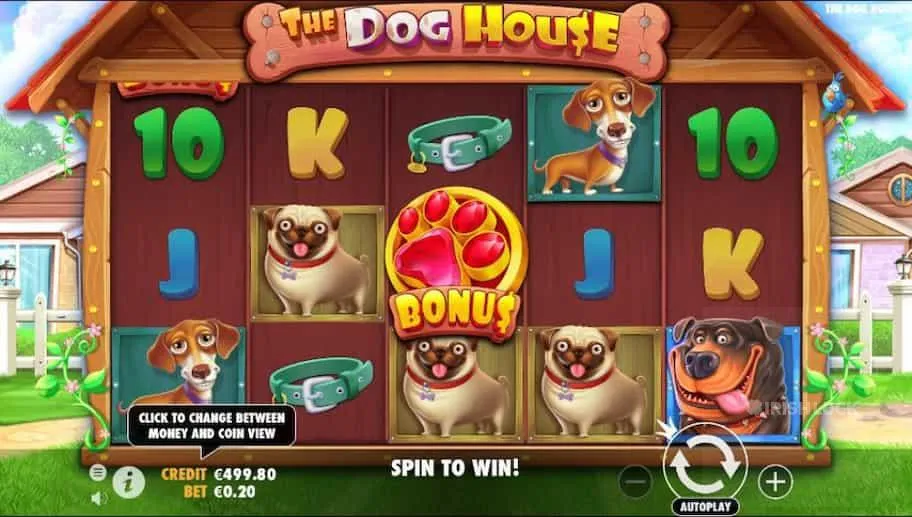 The Dog House Keseruan Anjing Lucu Bawa Hoki Besar #1